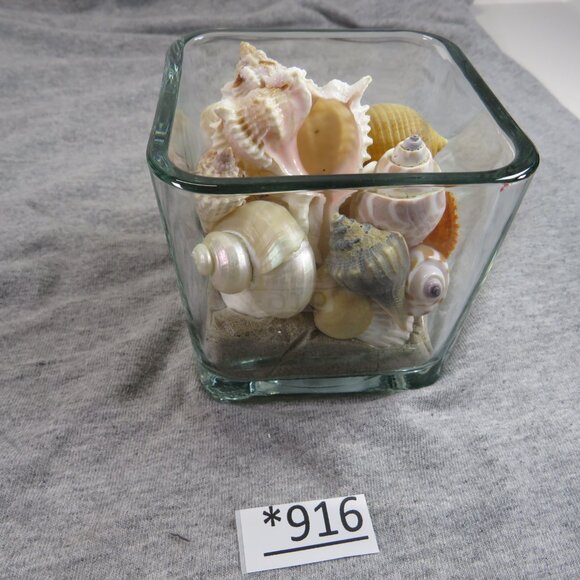 REAL Sea Shells in a Glass Square Vase and sand #3 - Picture 1 of 7